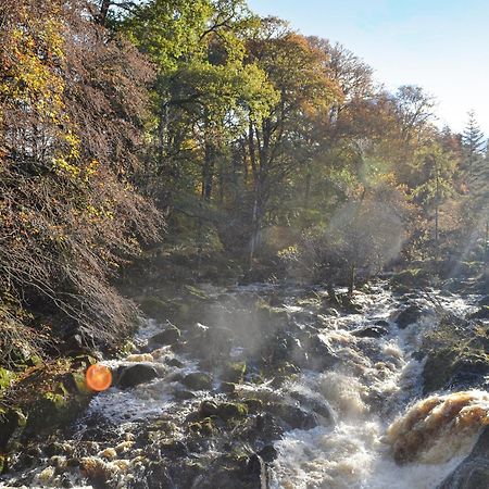 Toll Bridge Lodge Banchory Ngoại thất bức ảnh