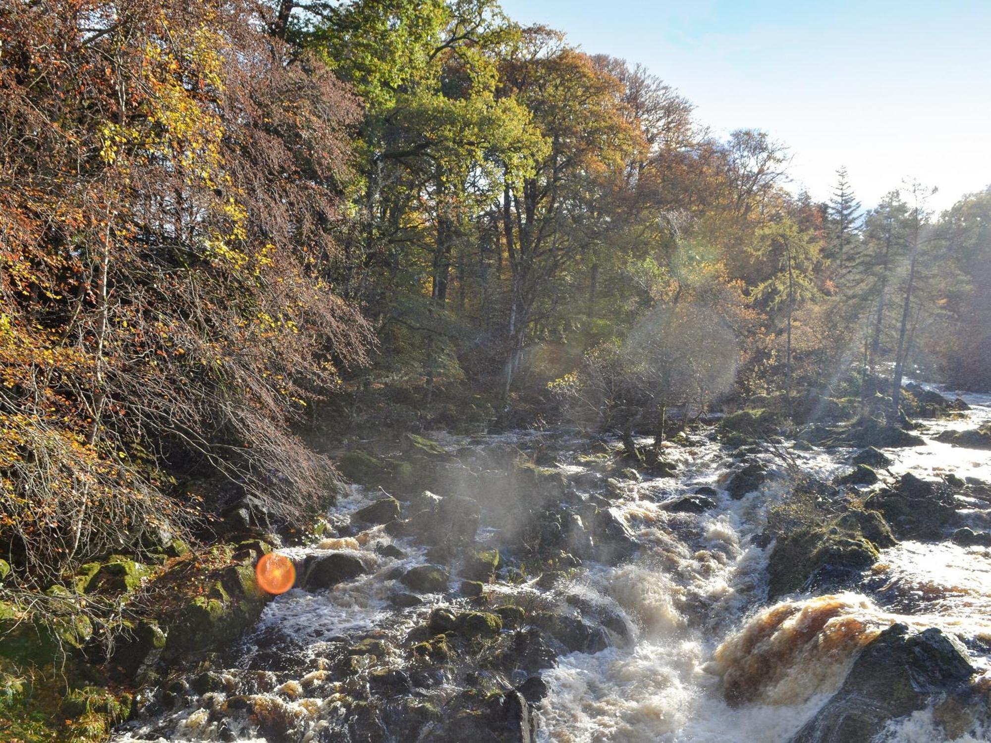 Toll Bridge Lodge Banchory Ngoại thất bức ảnh